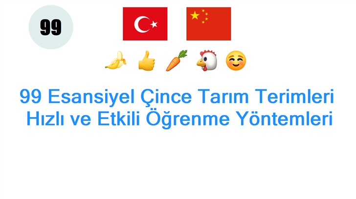 99 Esansiyel Çince Tarım Terimleri: Hızlı ve Etkili Öğrenme Yöntemleri